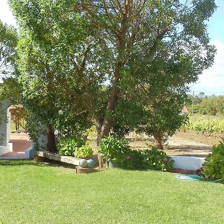 Casal Novo Holiday park Sao Martinho do Porto